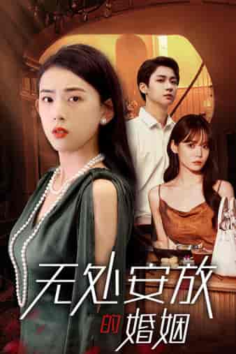 无处安放的婚姻（41集）王一晴 - 海之城短剧