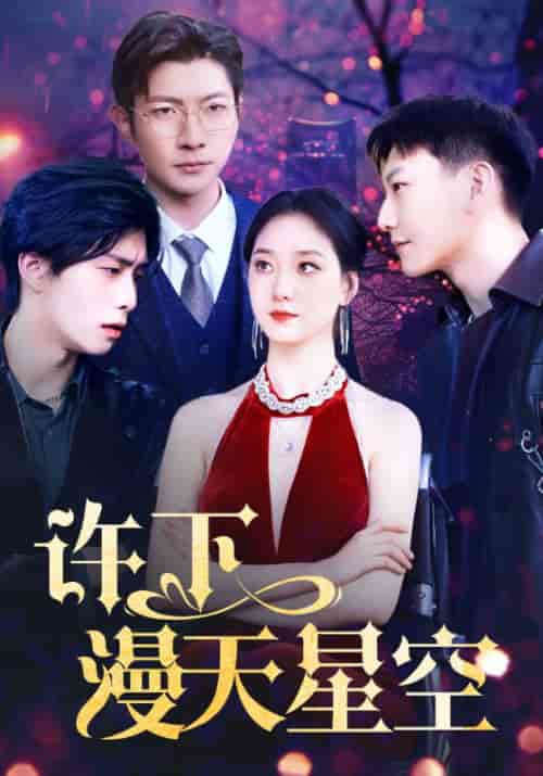 许下漫天星空（71集） - 海之城短剧