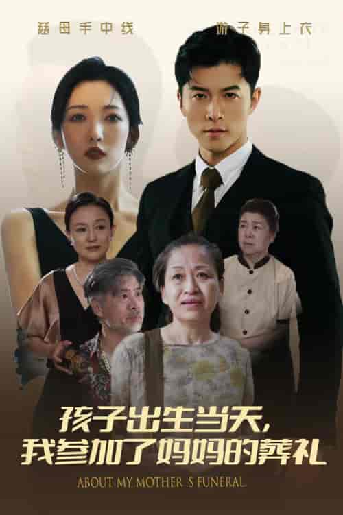 孩子出生当天，我参加了妈妈的葬礼（75集全）赵琪琪 - 海之城短剧