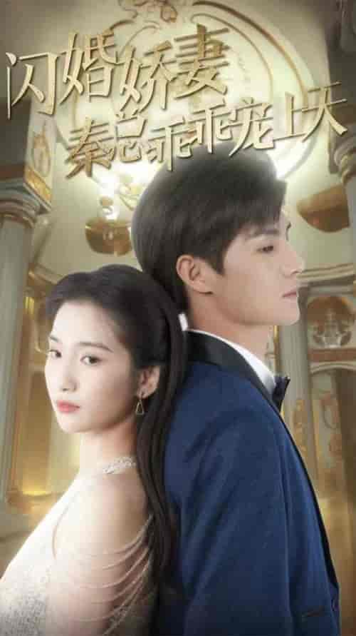 闪婚娇妻秦总乖乖宠上天（84集） - 海之城短剧