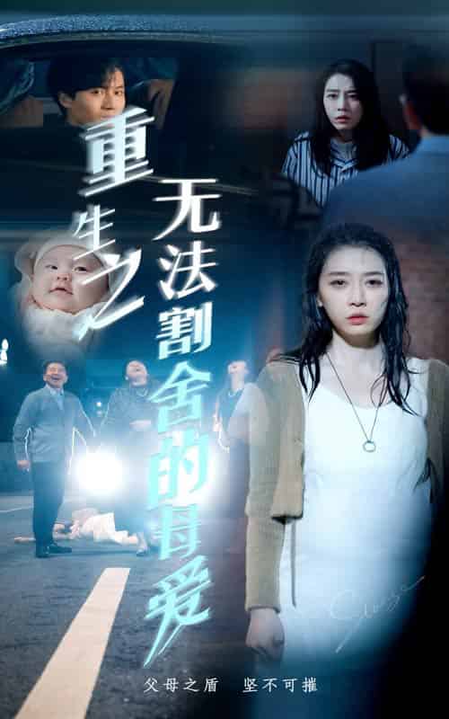 重生之无法割舍的母爱（63集全） - 海之城短剧