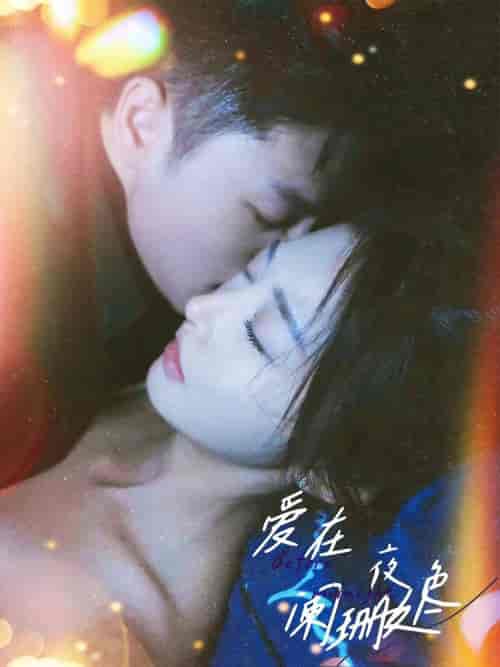 爱在夜色阑珊处（85集） - 海之城短剧