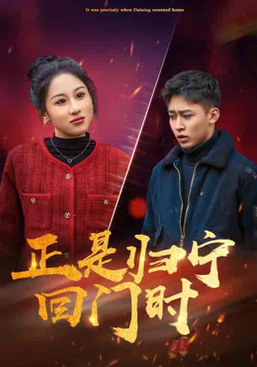 正是归宁回门时（60集全）周浩＆苏筱筱 - 海之城短剧