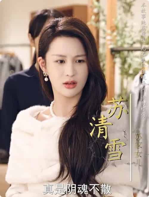 养母的秘密（34集全） - 海之城短剧