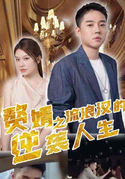 赘婿之流浪汉的逆袭人生（90集全）沐易安＆陆曦曦 - 海之城短剧
