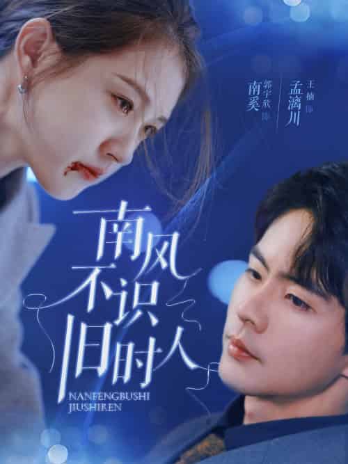 南风不识旧时人（63集）郭宇欣＆王楠 - 海之城短剧