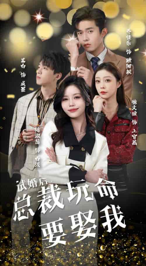 试婚后，总裁玩命要娶我（79集） - 海之城短剧