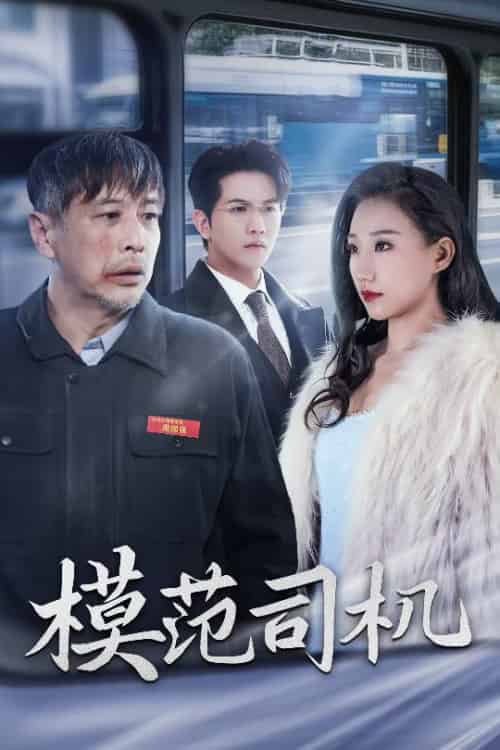 模范司机（30集全） - 海之城短剧