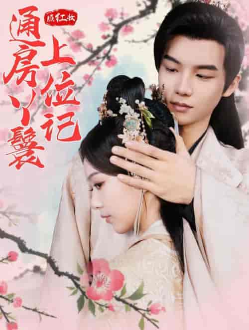 照红妆通房丫鬟上位记（85集全）黄子淇＆赵昱萱 - 海之城短剧