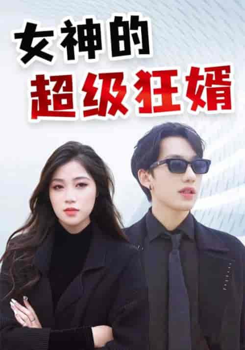女神的超级狂婿（100集全）萧天龙＆杨如雪 - 海之城短剧