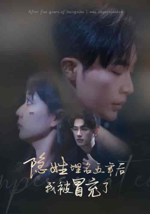 隐姓埋名五年后我被冒充了（97集全） - 海之城短剧