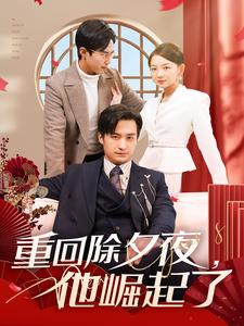 重回除夕夜他崛起了（89集） - 海之城短剧