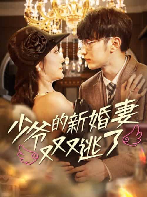 少爷的新婚妻又又又逃了（100集全）宋涵＆秦星 - 海之城短剧