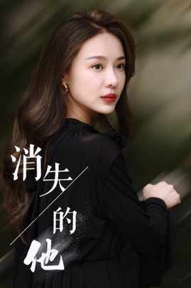 消失的他（30集全） - 海之城短剧