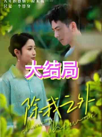除我之外（80集） - 海之城短剧