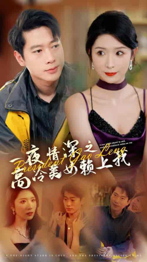 一夜情深之高冷美女赖上我（71集全）张子安＆蒋昕妍 - 海之城短剧