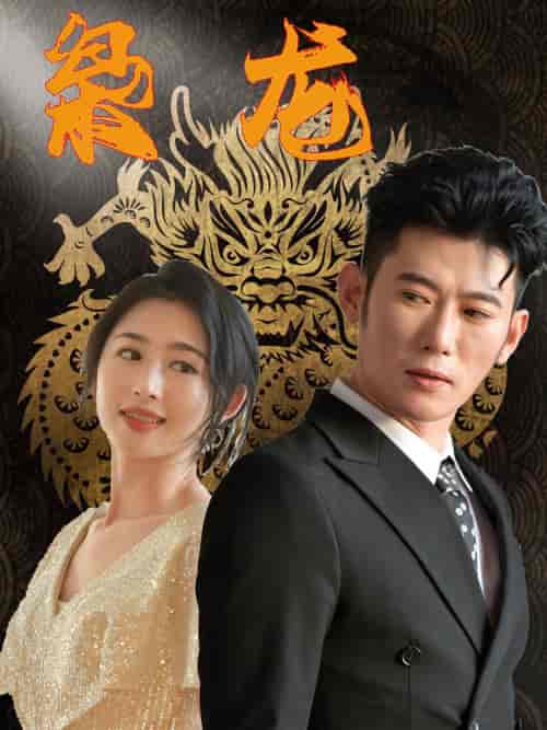 新：枭龙（71集） - 海之城短剧