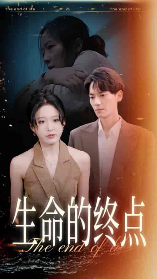 生命的终点（35集全）宋喃 林十八 - 海之城短剧