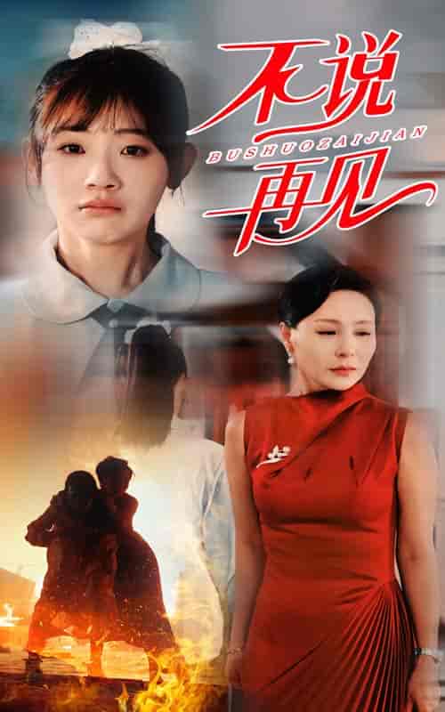 不说再见（31集全） - 海之城短剧