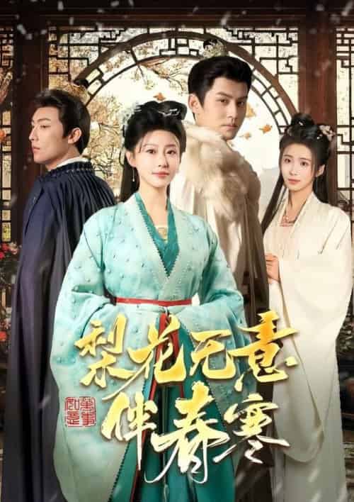 梨花无意伴春寒（63集全）宗沐一＆于小婉儿 - 海之城短剧