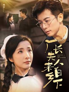 厂长夫人来自乡下（60集全） - 海之城短剧