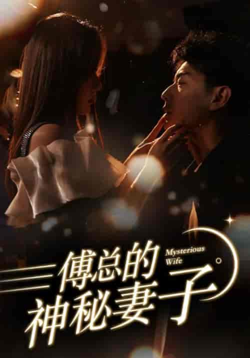 傅总的神秘妻子＆在逃娇妻美又飒（100集） - 海之城短剧