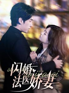 闪婚法医娇妻（92集全） - 海之城短剧