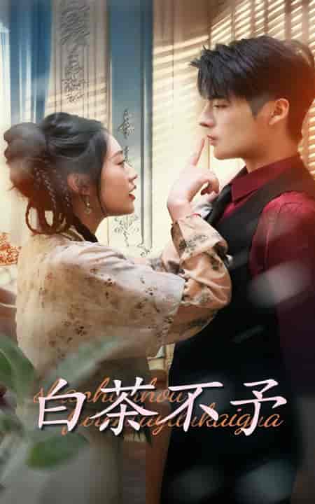 白茶不予（68集全）潘欣懿＆段美洋 - 海之城短剧