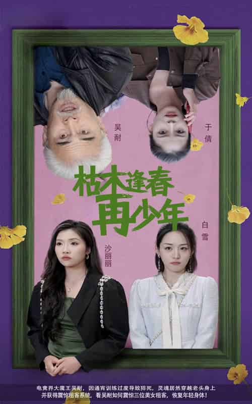 枯木逢春再少年（53集全）孙群＆骆虹宇 - 海之城短剧