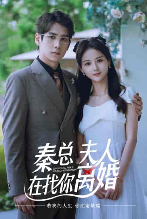 秦总夫人在找你离婚（79集全）秦沐川＆马倩倩 - 海之城短剧