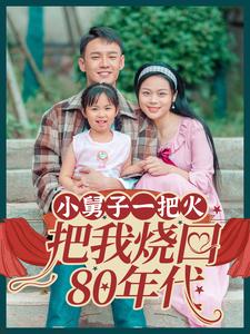 小舅子一把火把我烧回80年代（100集全） - 海之城短剧