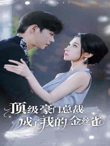 顶级豪门总裁成了我的金丝雀（85集）王格格 - 海之城短剧