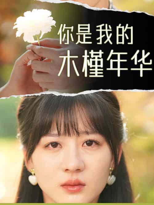你是我的木槿年华（80集全）姜真真＆霍司辰 - 海之城短剧