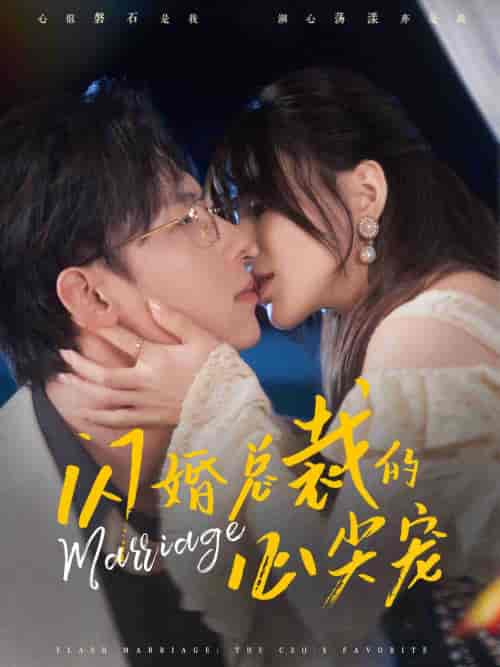 闪婚总裁的心尖宠（77集全）王钰臻＆夏婧苒 - 海之城短剧