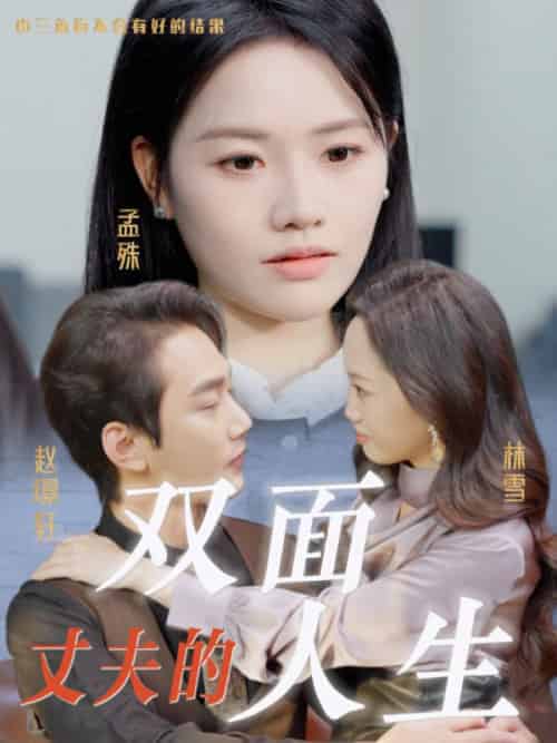丈夫的双面人生（30集全） - 海之城短剧