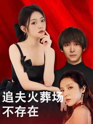 追夫火葬场不存在（100集） - 海之城短剧