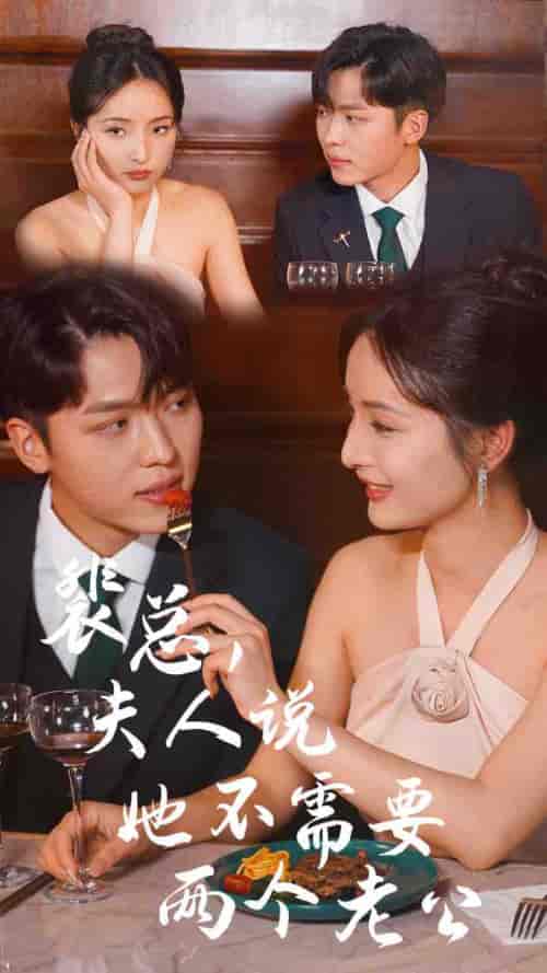 裴总，夫人说她不需要两个老公（109集） - 海之城短剧