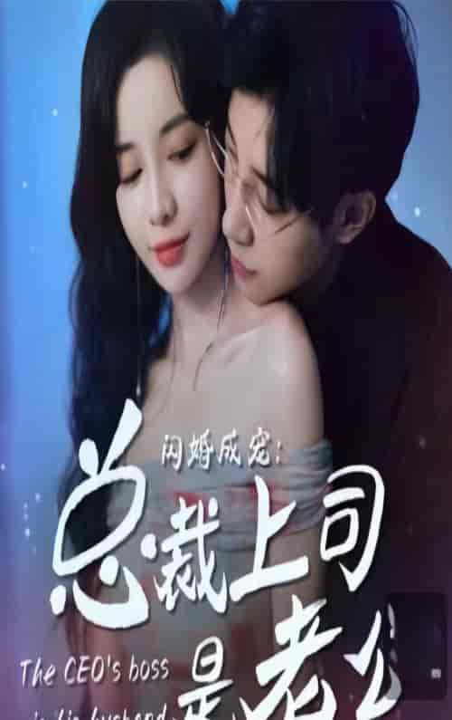 闪婚成宠，总裁老公是上司（山南溪北遇知行）90集 - 海之城短剧