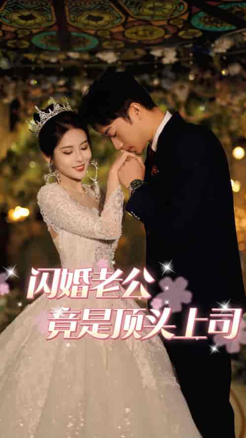 闪婚老公竟是顶头上司（80集） - 海之城短剧