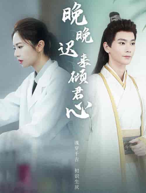晚晚迟来倾君心（83集全）常斌 - 海之城短剧