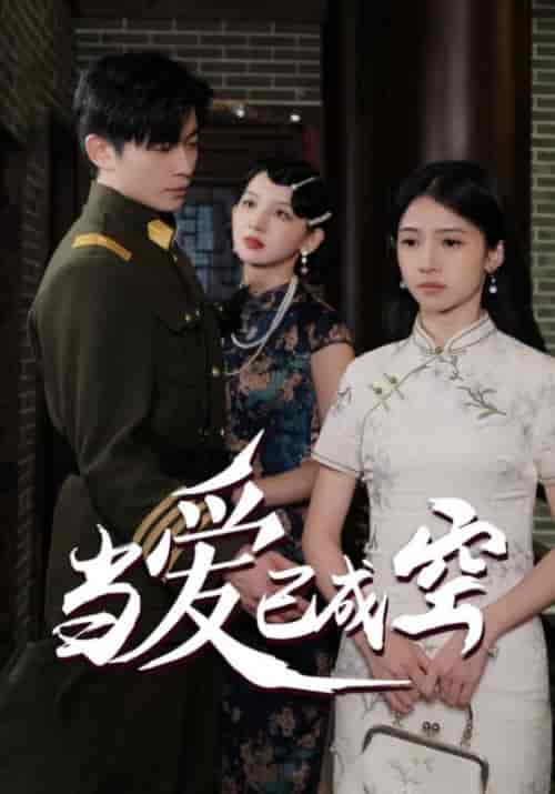 当爱已成空（58集全） - 海之城短剧