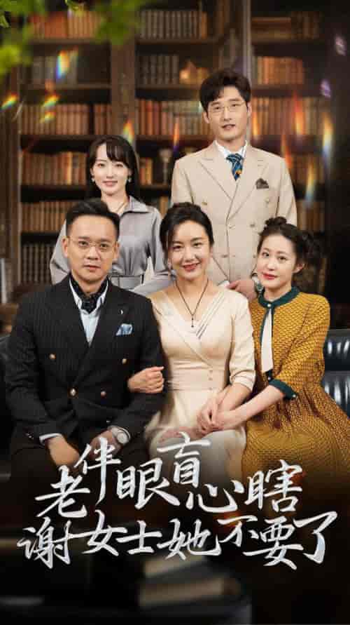 老伴眼盲心瞎谢女士她不要了（93集全）潘依祎 - 海之城短剧