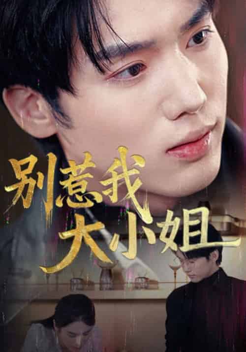 别惹我大小姐（40集全） - 海之城短剧
