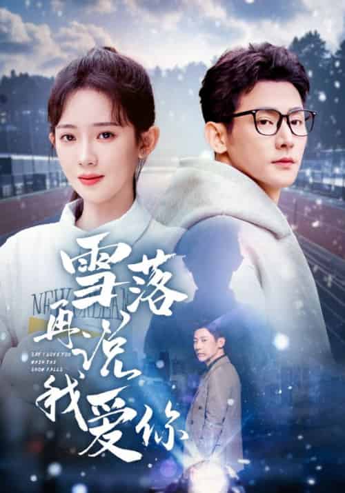 雪落再说我爱你（51集全）周京泽＆宋南夕 - 海之城短剧