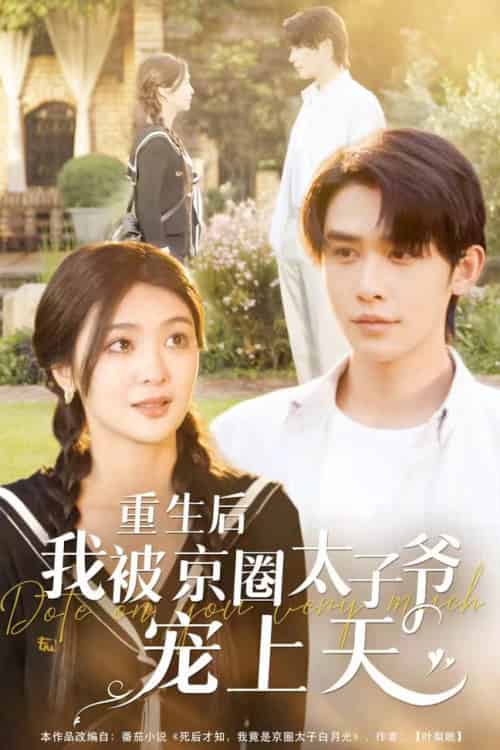 重生后我被京圈太子爷宠上天（78集全）申浩男＆钟熙 - 海之城短剧