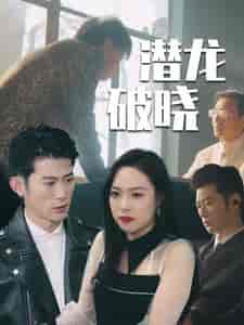 潜龙破晓（88集全） - 海之城短剧