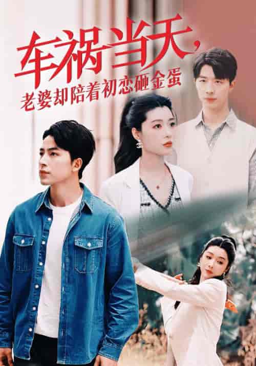 车祸当天老婆却陪着初恋砸金蛋（46集全）吴昊 - 海之城短剧