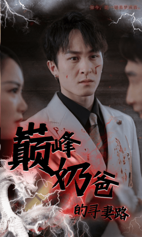 巅峰奶爸的寻妻路（87集） - 海之城短剧