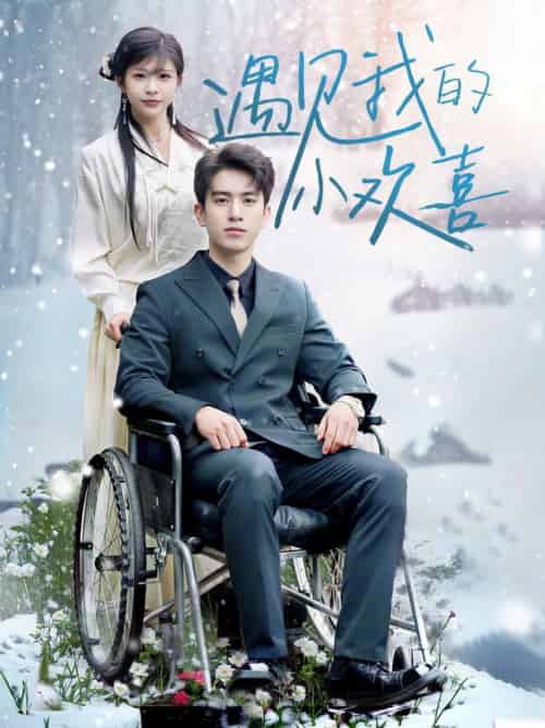 遇见我的小欢喜（70集全）阮俊杰＆毛丽婷 - 海之城短剧