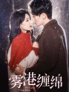 雾港缠绵（100集） - 海之城短剧